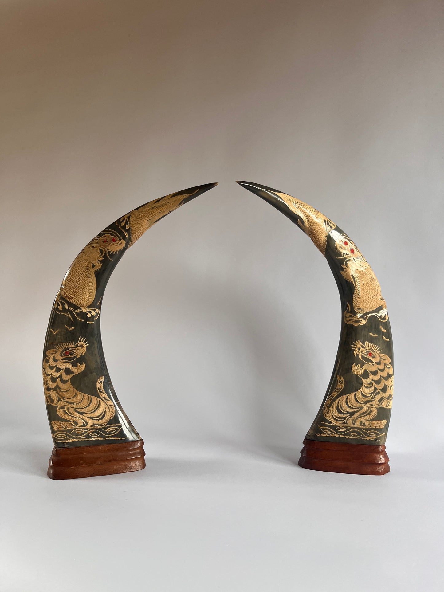 Pair of Carved Decorative Horns