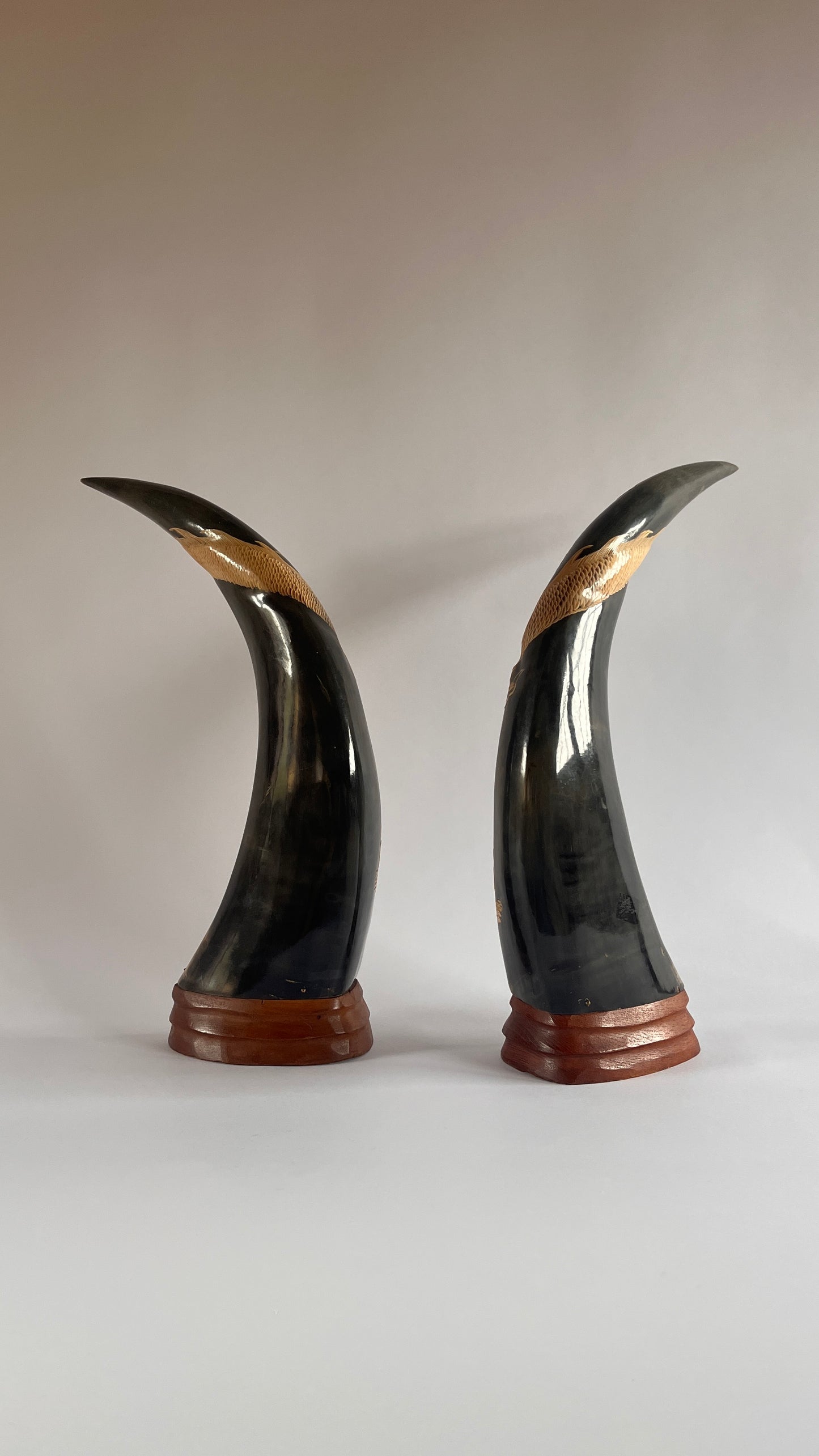 Pair of Carved Decorative Horns