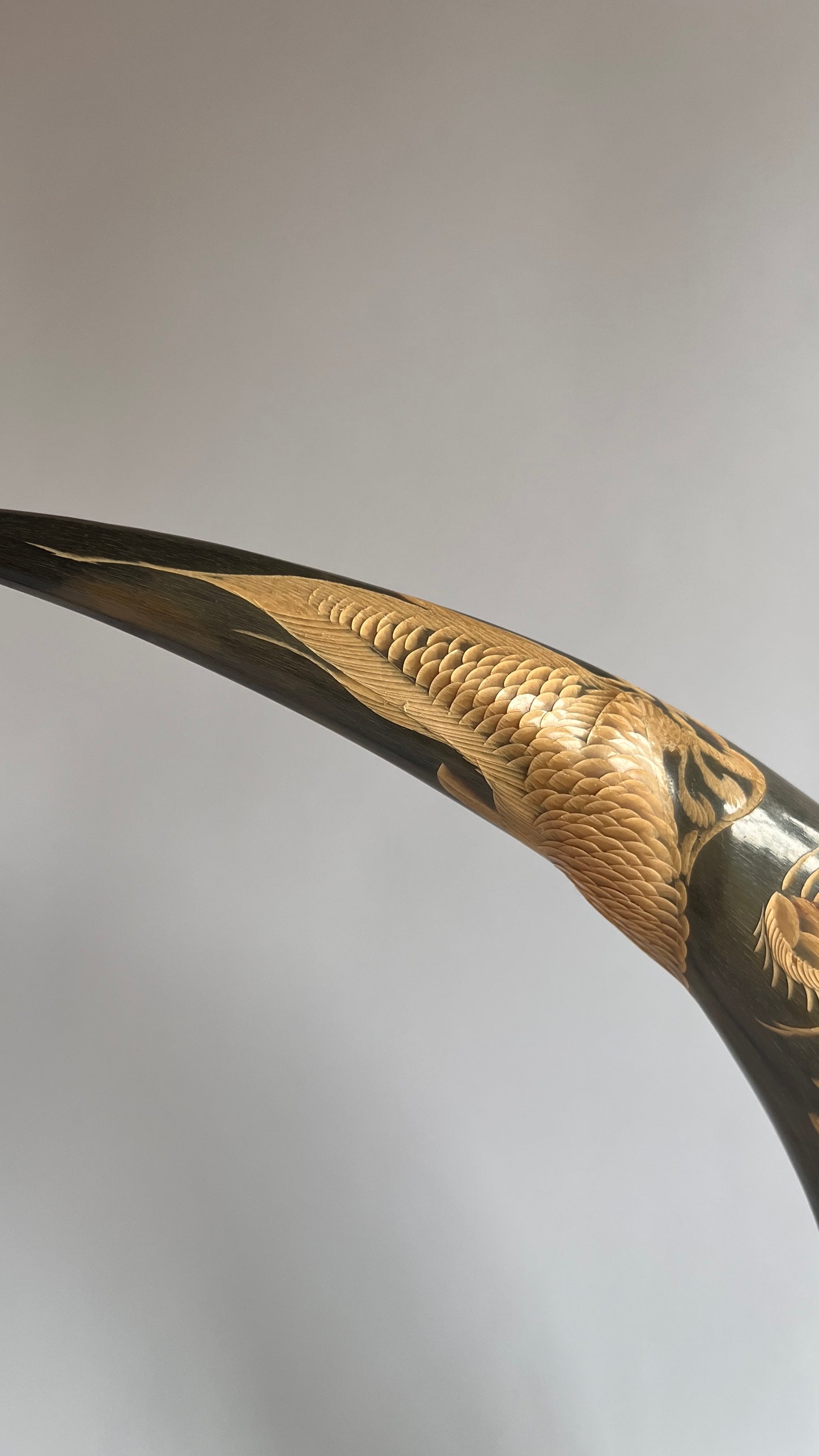 Pair of Carved Decorative Horns