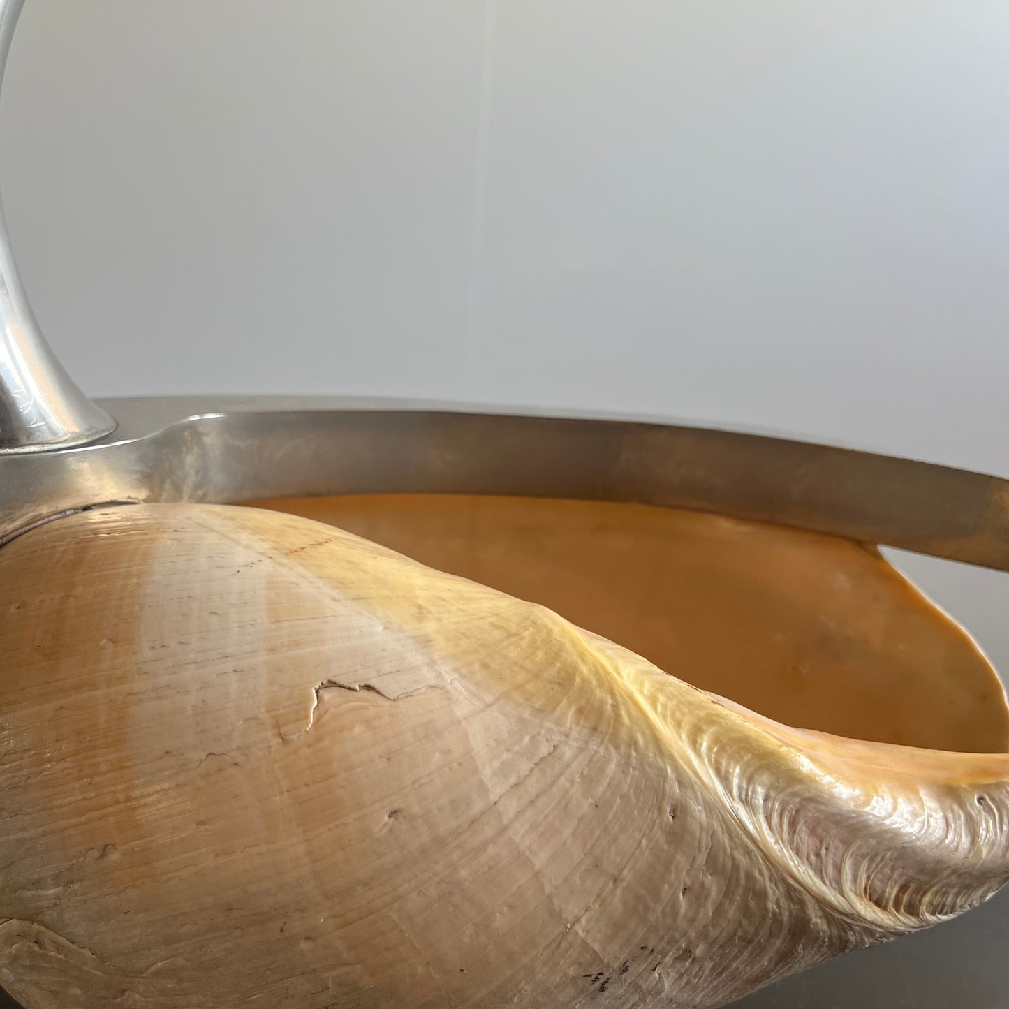 Large Shell Swan Centrepiece, attr. Gabriella Binazzi, Italy, c.1970
