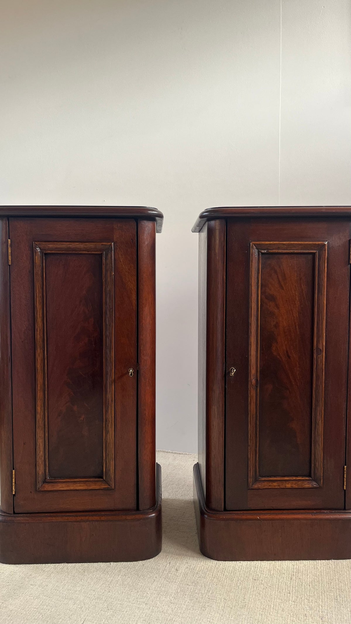 Pair of Late 19th Century Georgian Revival Bedside Cabinets