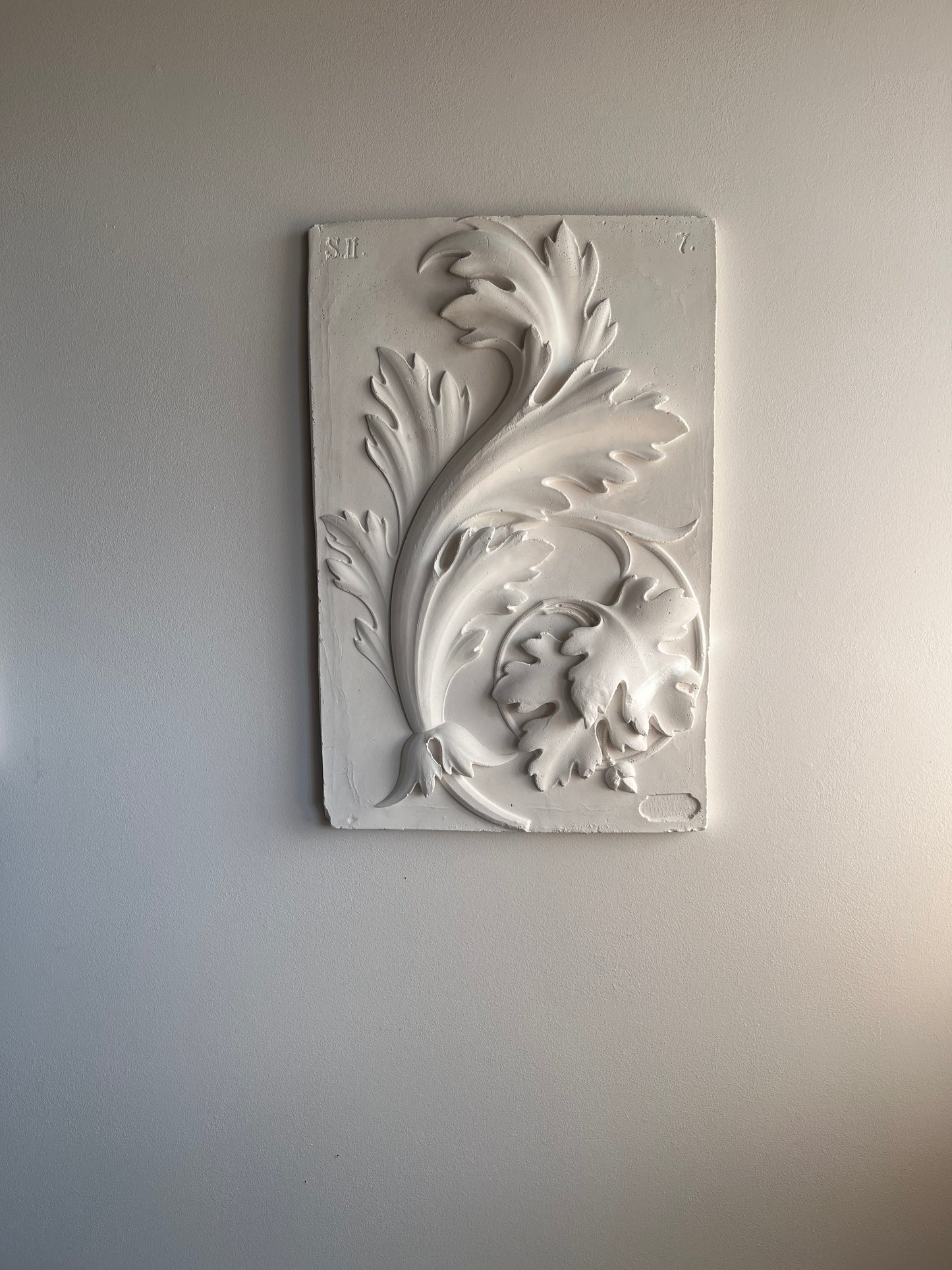 Plaster