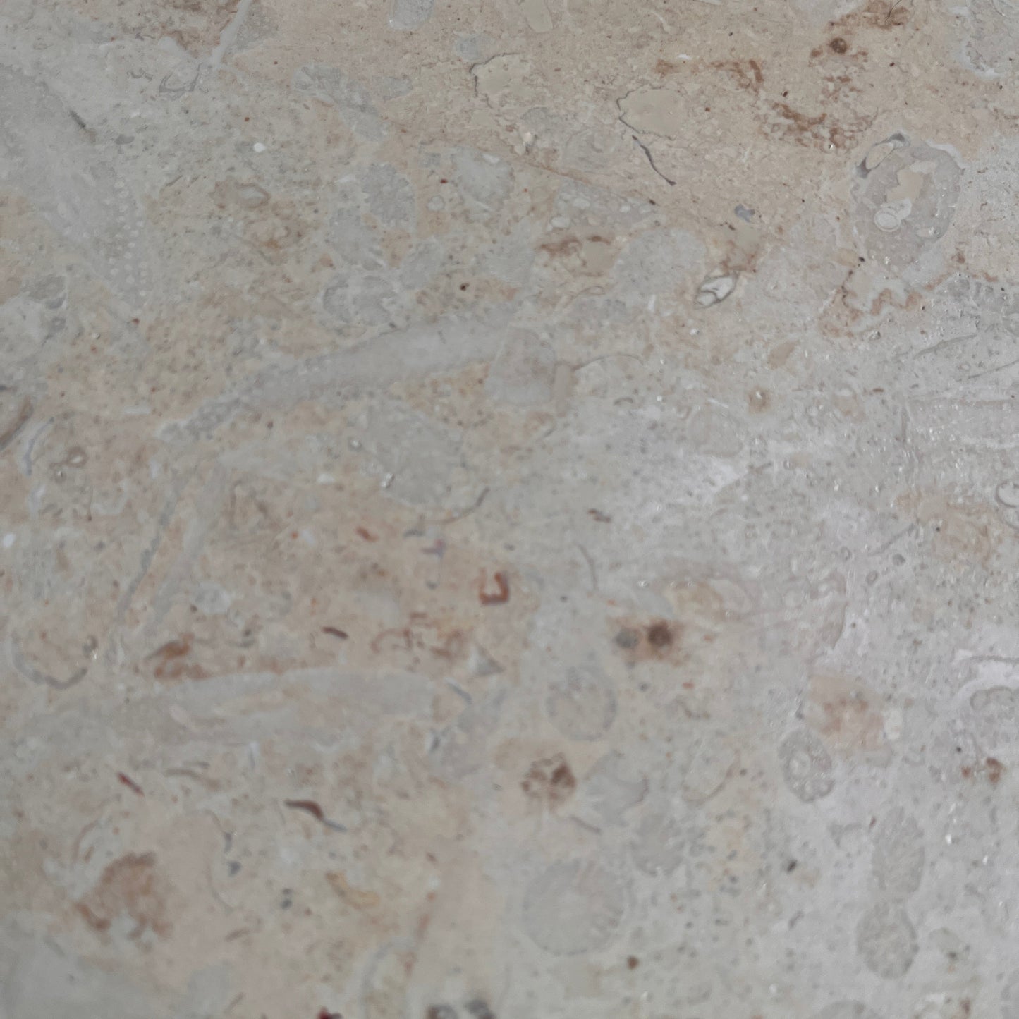 Sculptural Fossil Stone Cabinet c. 1970