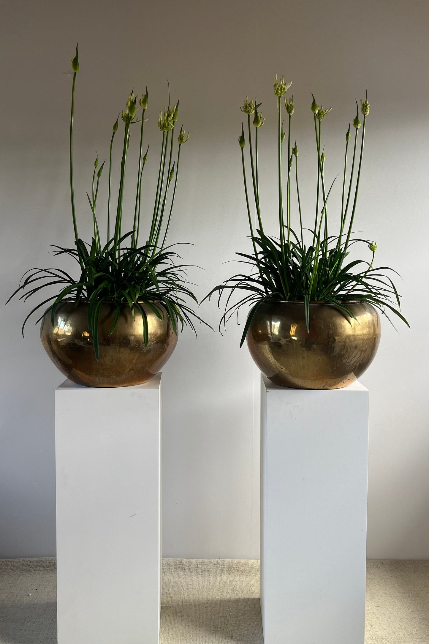 Pair of Early 20th Century Brass Jardinières
