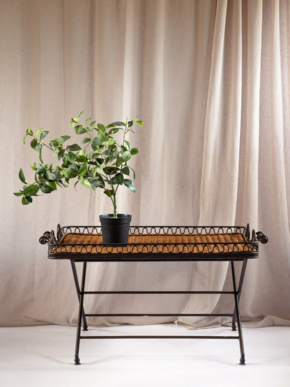 Smart Vintage Iron and Rattan Folding Table.