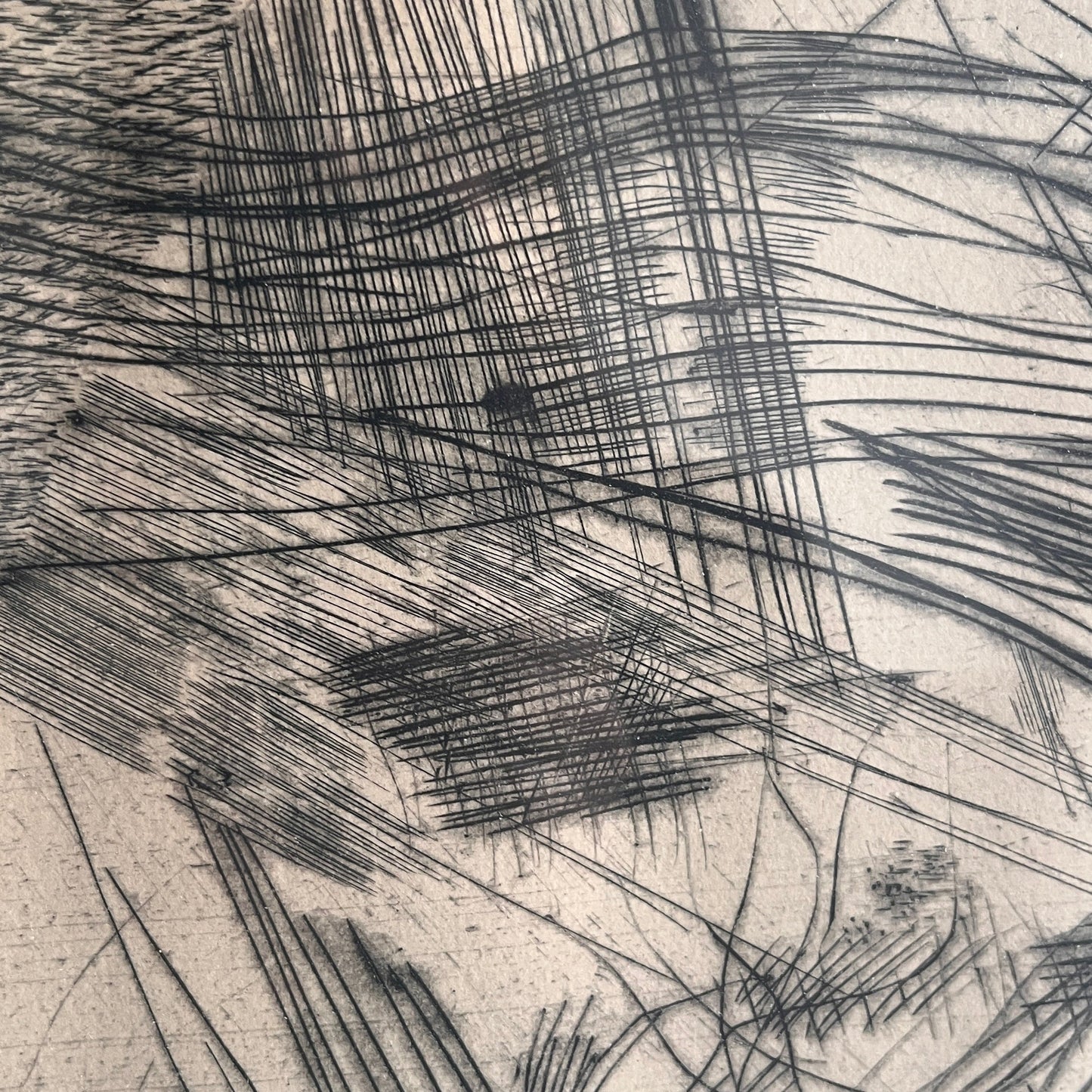 Ulf Trotzig Lithograph close up