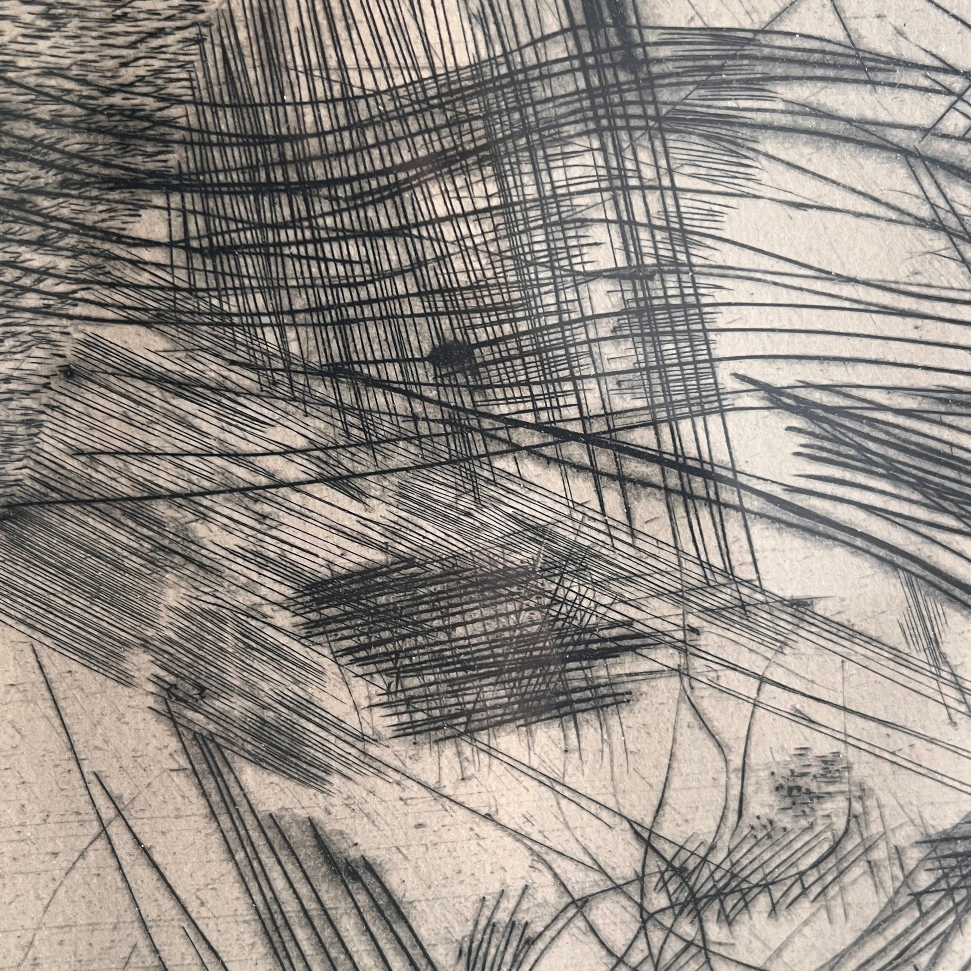 Ulf Trotzig Lithograph close up