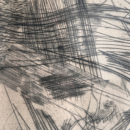 Ulf Trotzig Lithograph close up